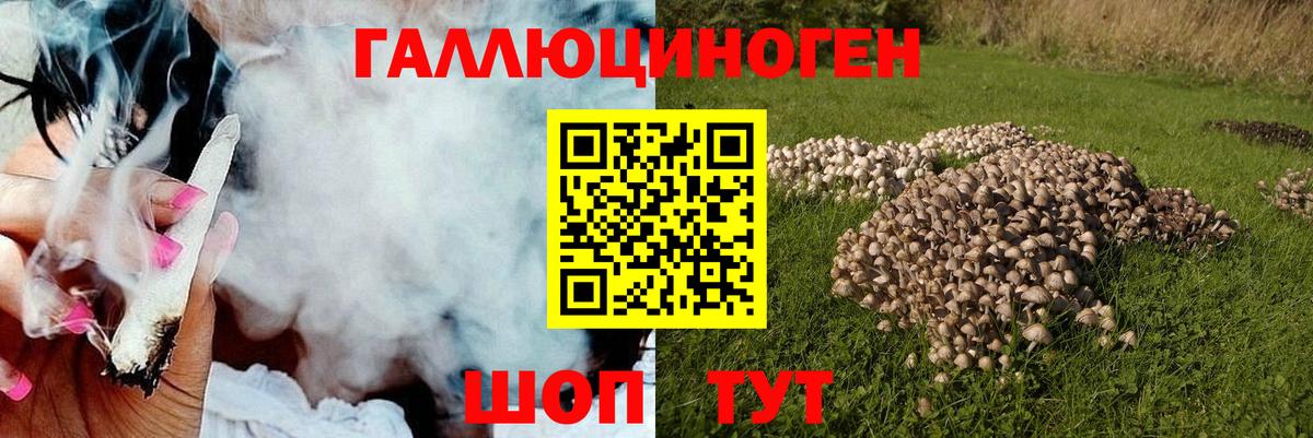 Псилоцибиновые грибы MAGIC MUSHROOMS Шадринск