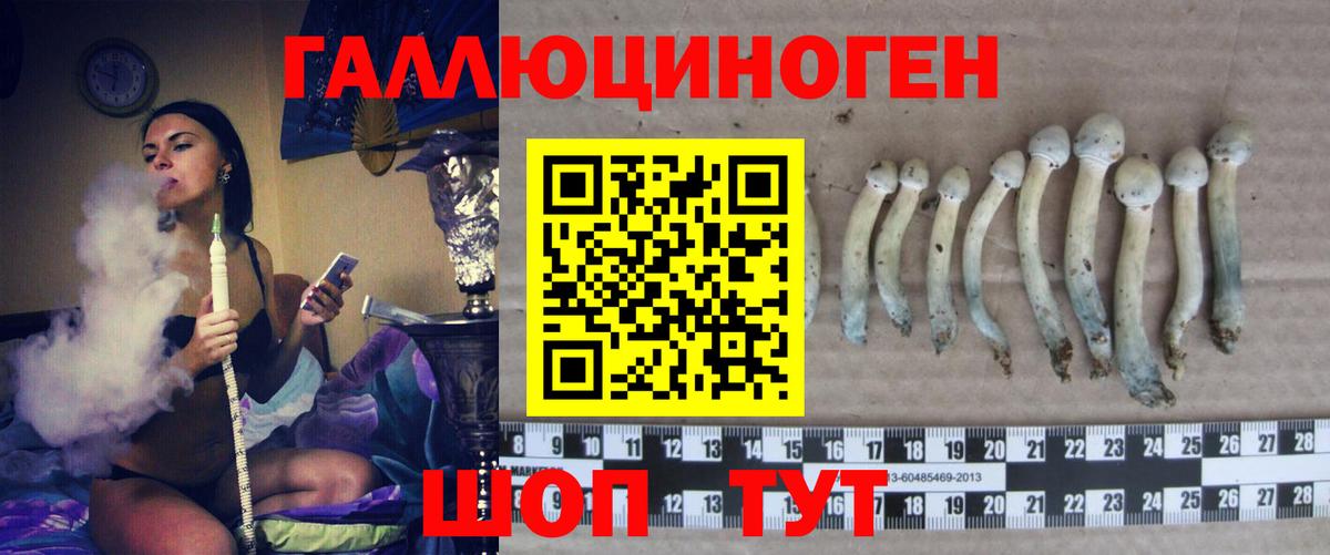Галлюциногенные грибы MAGIC MUSHROOMS  Вход с VPN  закладка  Шадринск 